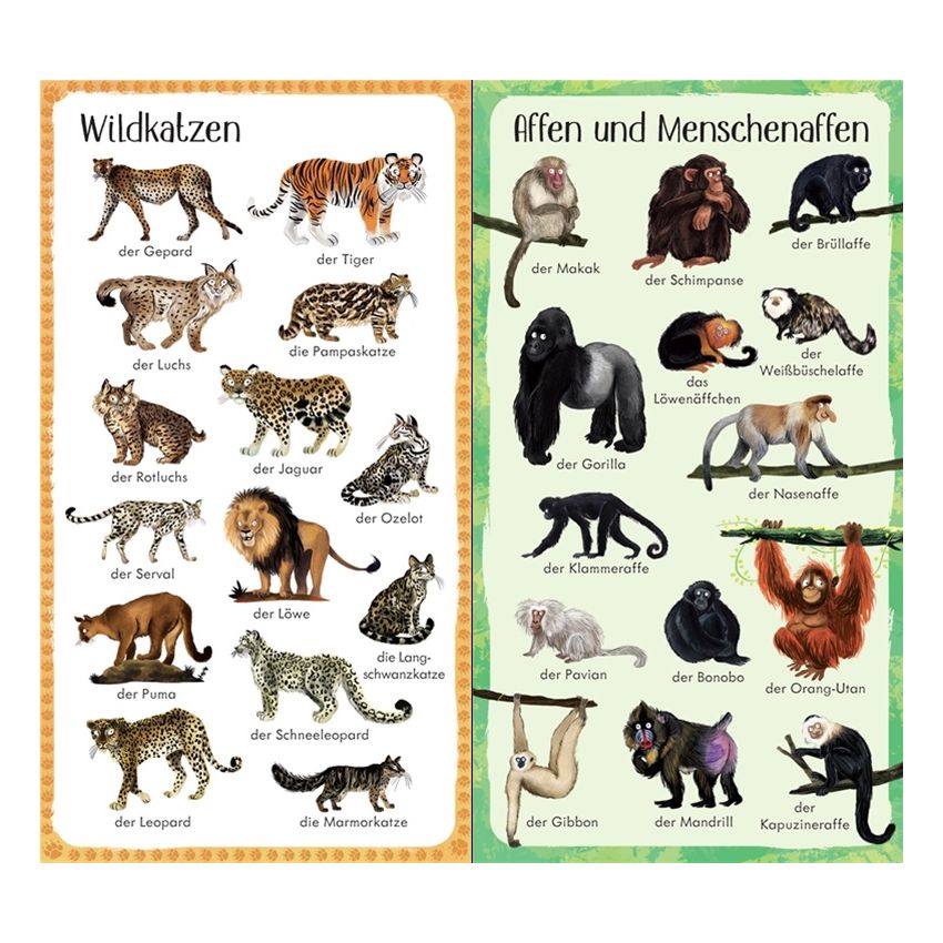 Usborne Verlag - 199 Tiere im Zoo