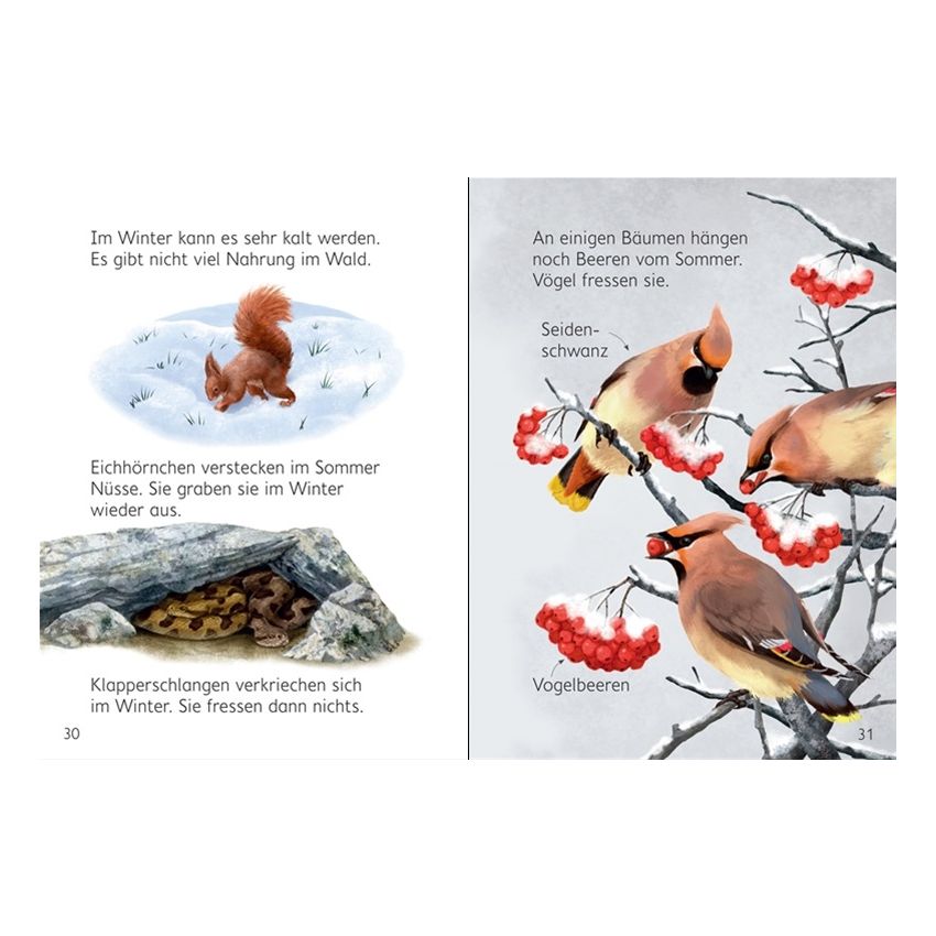 Usborne Verlag - Mein erstes Natur-Wissen: Waldtiere