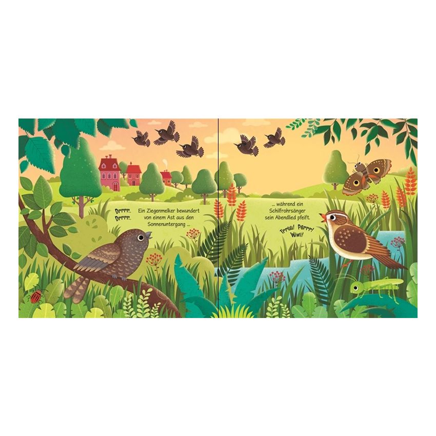 Usborne Verlag - Klänge der Natur: Was hörst du in der Vogelwelt?