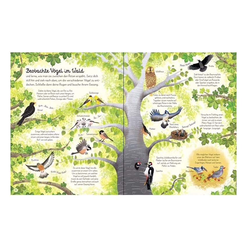 Usborne Verlag - Mein Waldentdecker-Buch: Erlebe die Natur