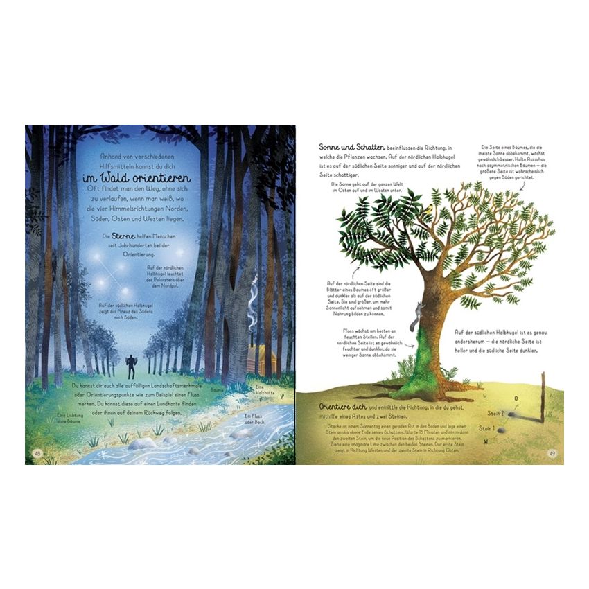 Usborne Verlag - Mein Waldentdecker-Buch: Erlebe die Natur