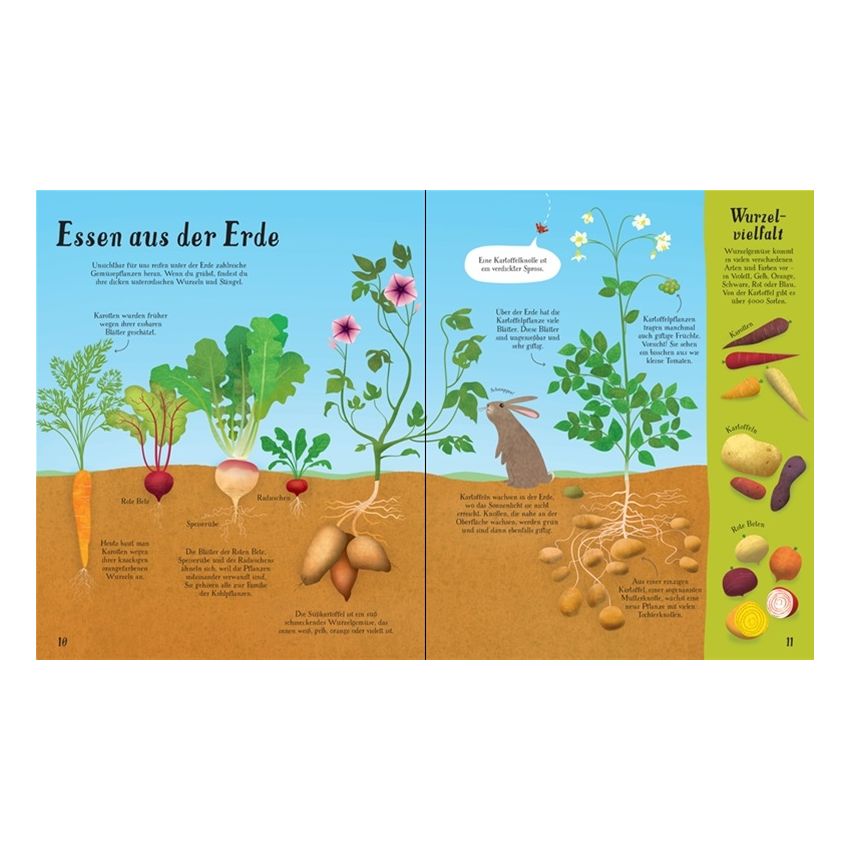 Usborne Verlag - So wächst unser Essen!