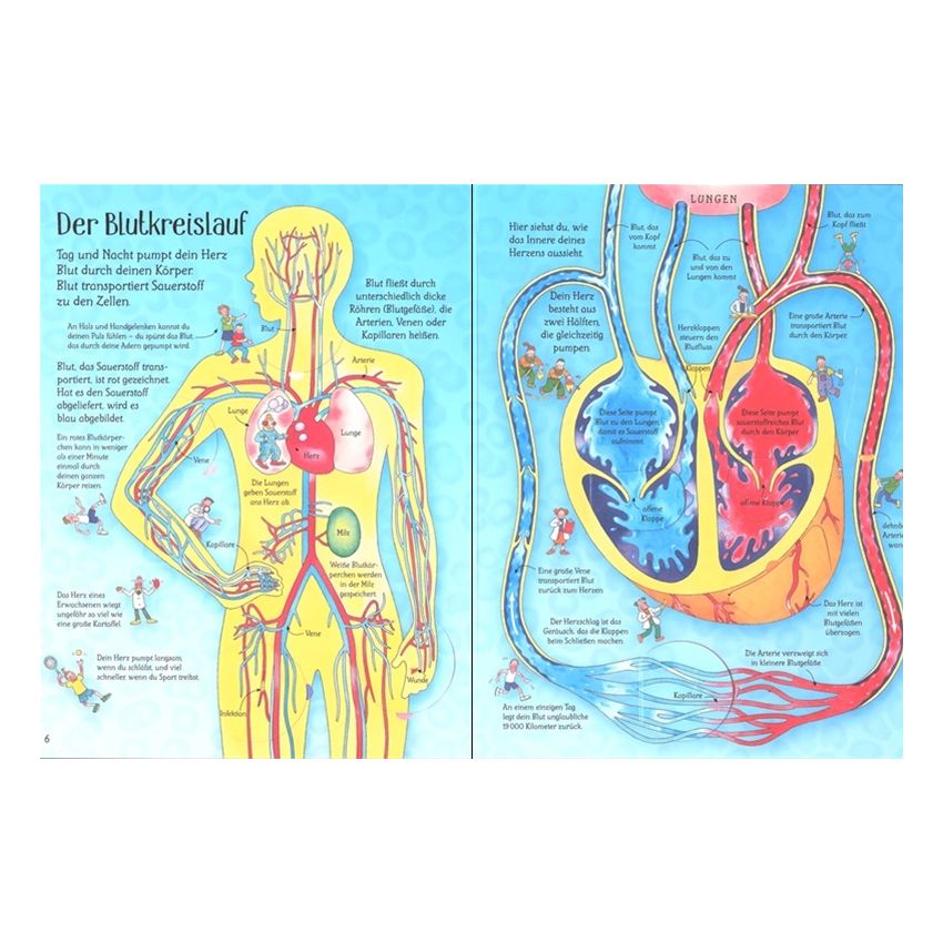 Usborne Verlag - Ich weiß mehr! Mein Körper