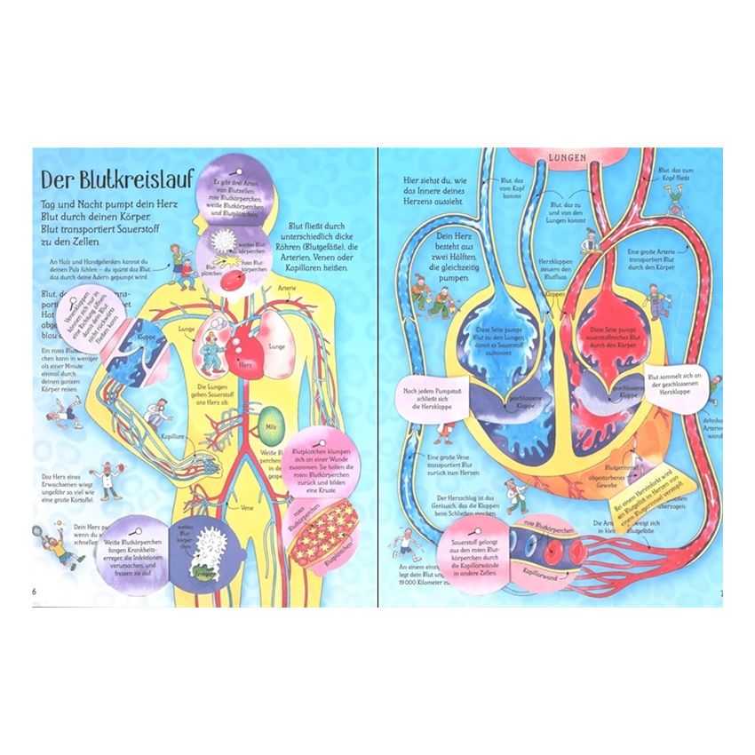 Usborne Verlag - Ich weiß mehr! Mein Körper