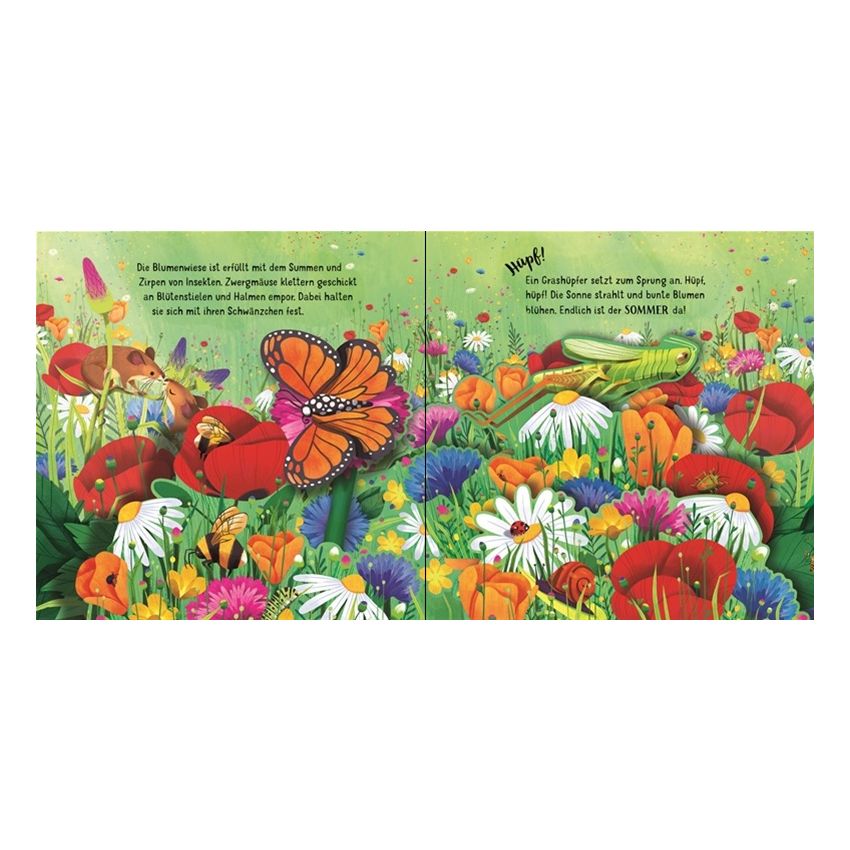 Usborne Verlag - Mein erstes Pop-up-Buch: Die Jahreszeiten