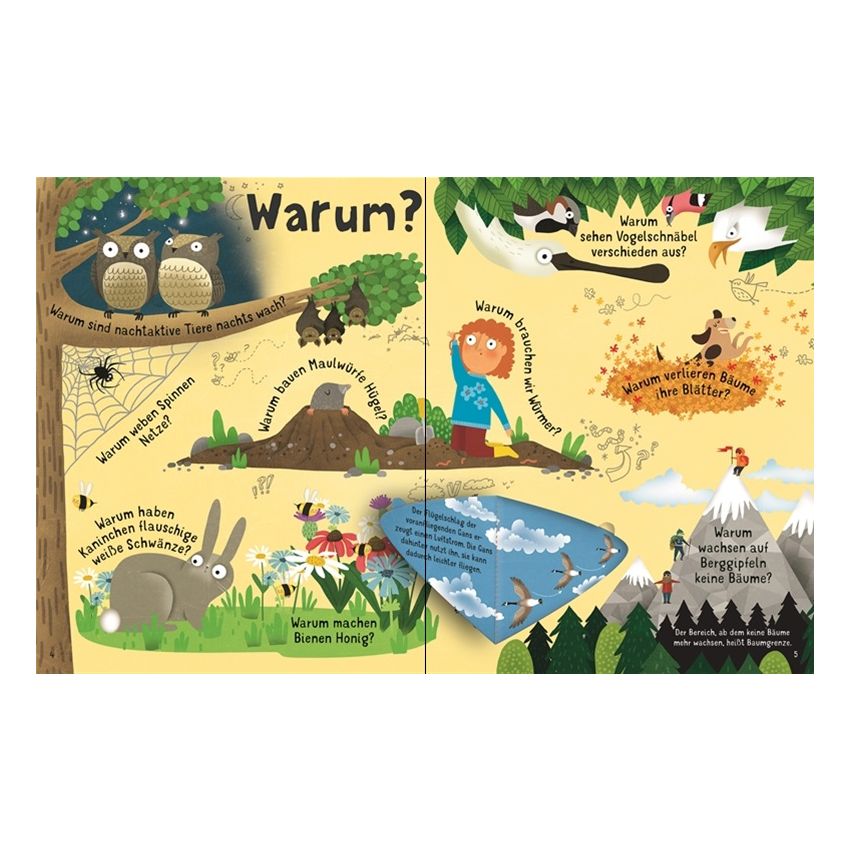 Usborne Verlag - Wie viele Blätter hat ein Baum?