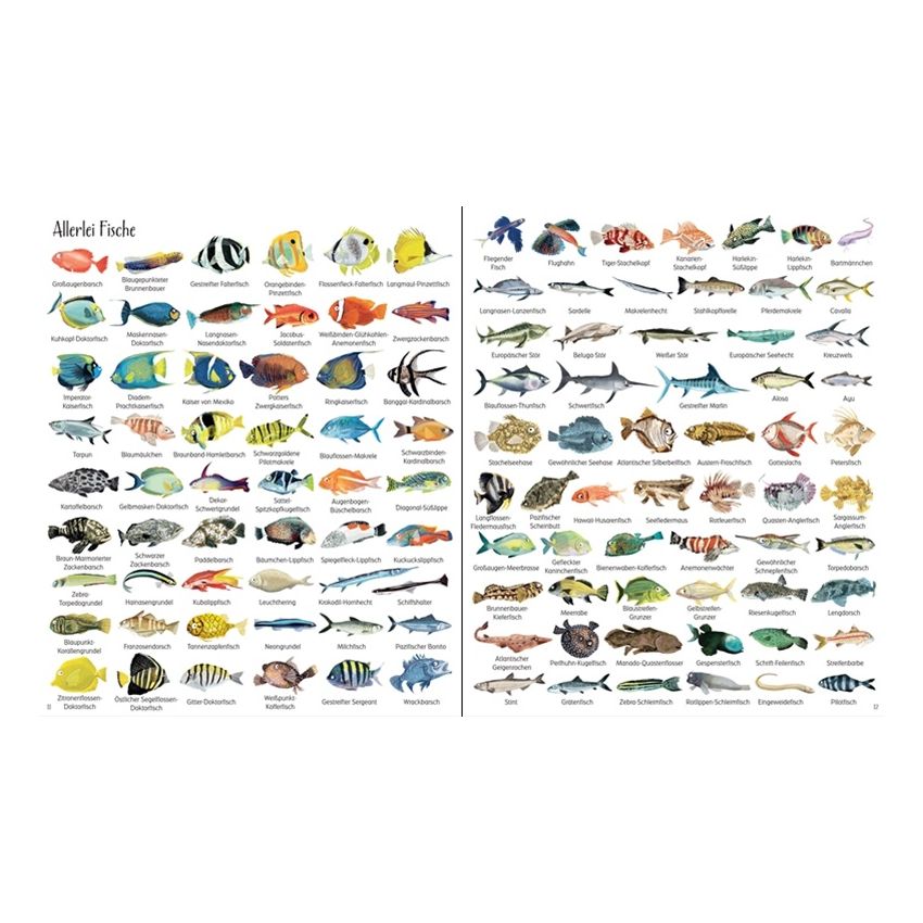 Usborne Verlag - 1000 Dinge aus dem Meer