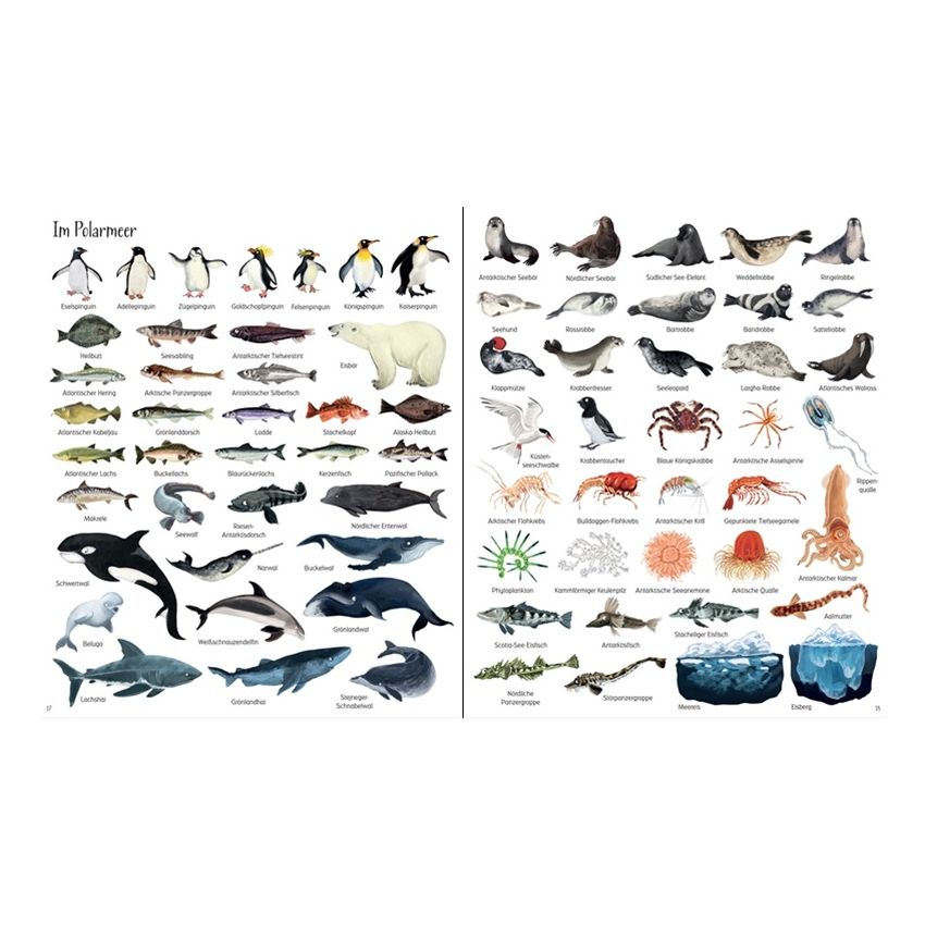 Usborne Verlag - 1000 Dinge aus dem Meer