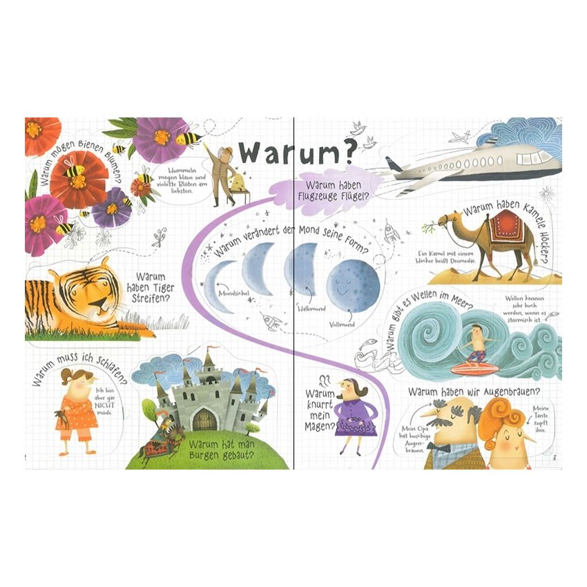 Usborne Verlag - Warum haben Tiger Streifen - 60 schlaue Kinderfragen - Klappenbuch