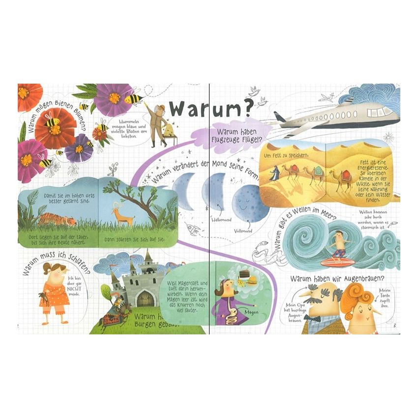 Usborne Verlag - Warum haben Tiger Streifen - 60 schlaue Kinderfragen - Klappenbuch