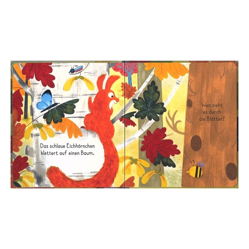 Usborne Verlag - Mein erstes Entdecker-Klappenbuch: Im Wald