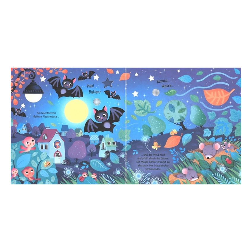 Usborne Verlag - Klänge der Natur: Was hörst du in der Nacht?