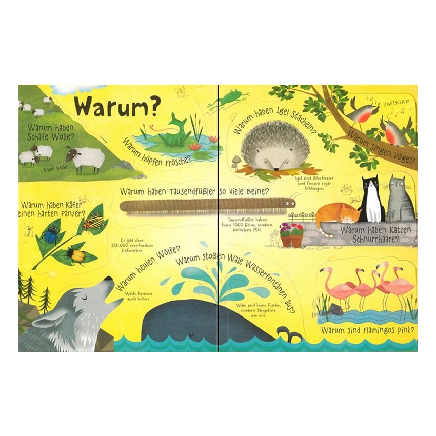 Usborne Verlag - Können Pinguine fliegen? 60 schlaue Fragen zur Welt der Tiere - Klappenbuch