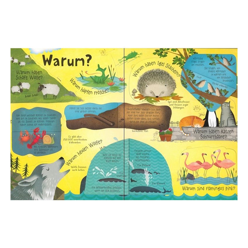 Usborne Verlag - Können Pinguine fliegen? 60 schlaue Fragen zur Welt der Tiere - Klappenbuch