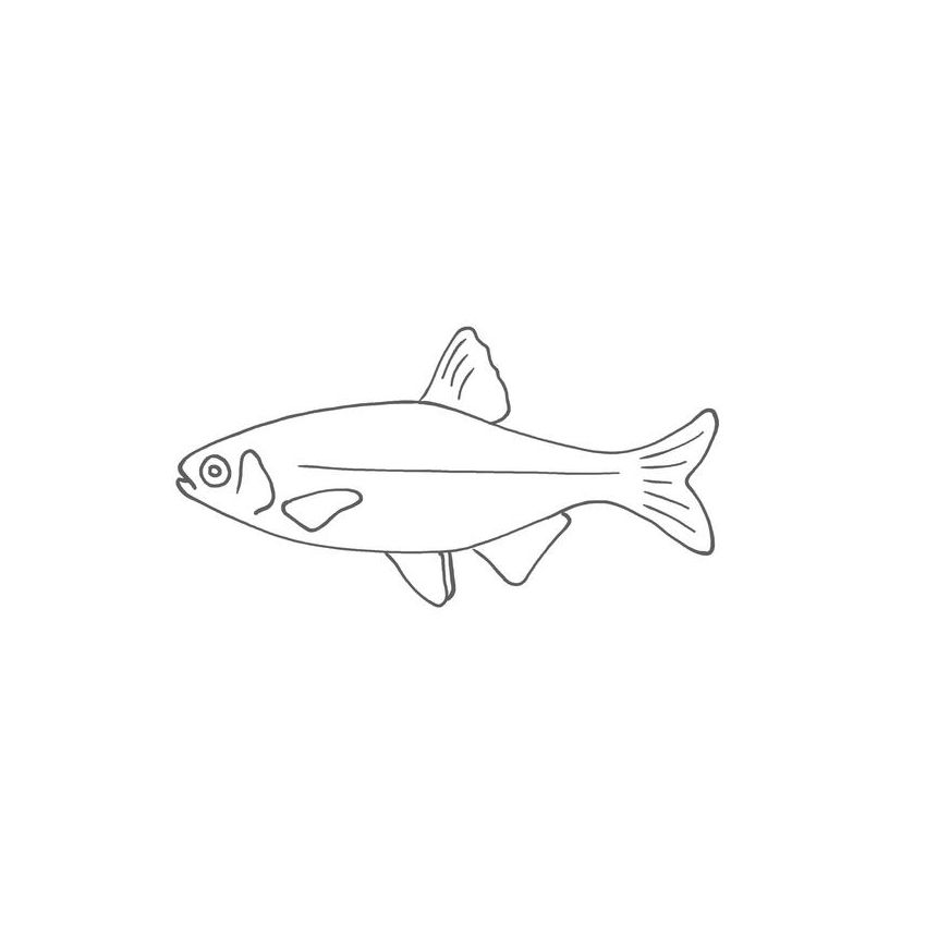 Vicky Bo Verlag - Malbuch Tiere ab 2 Jahre - Erstes Malen