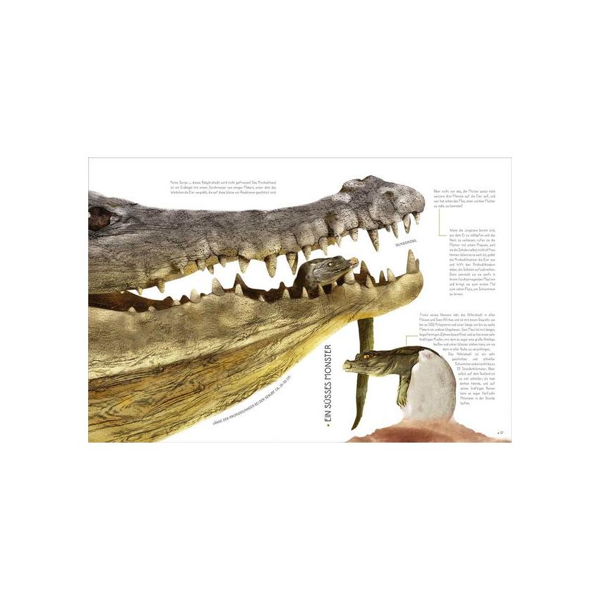 WSKids - 100% Tierbabys in Lebensgrösse