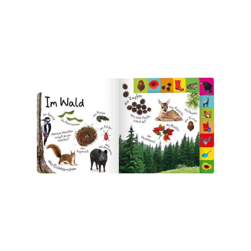 Dorling Kindersley - Erstes Lernen. In der Natur