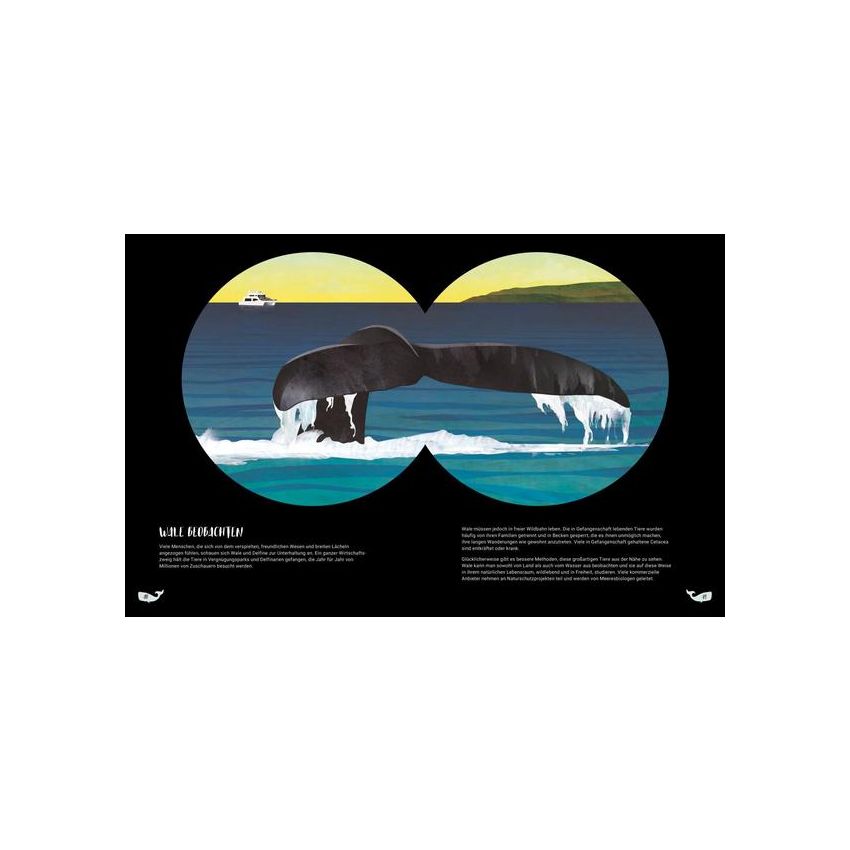 Aladin Verlag - Das geheime Leben der Wale