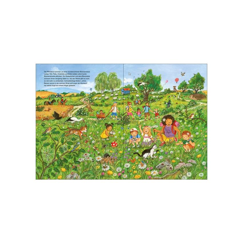 Loewe Verlag - Wimmelbuch Viel los in der Natur