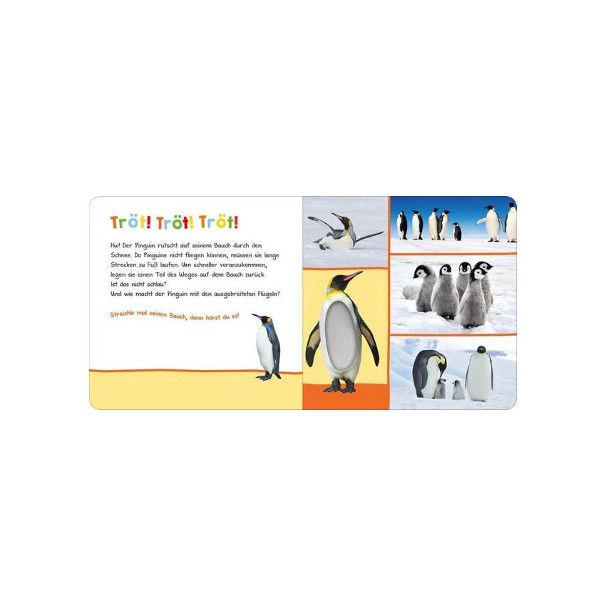 arsEdition - Hör mal rein, wer kann das sein? Im Winter