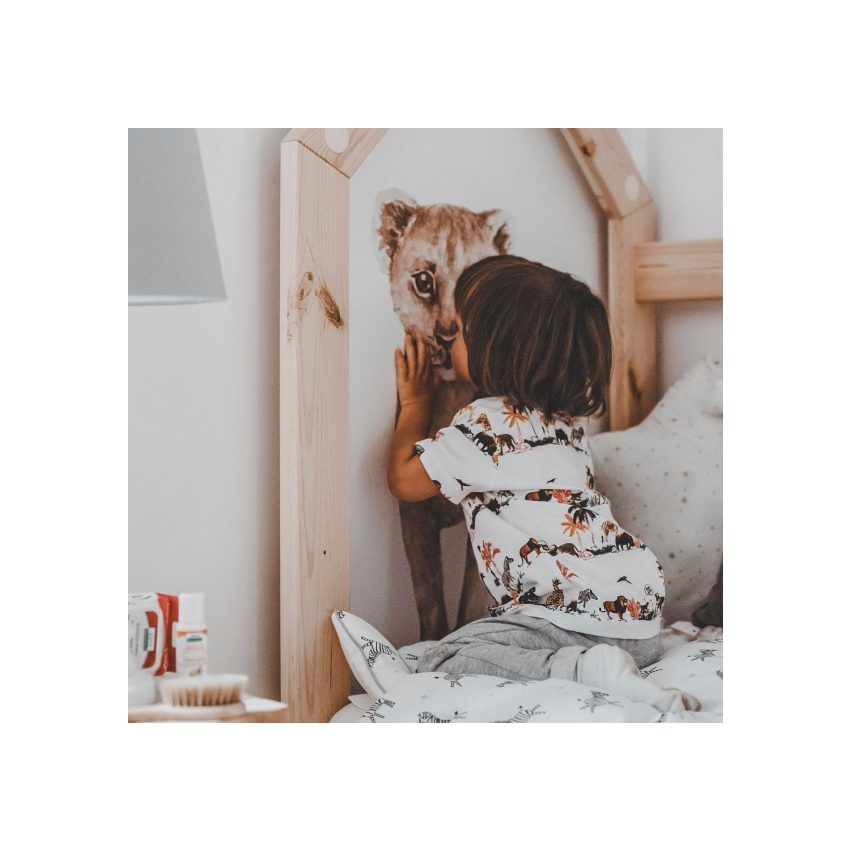 Dekornik - Savanna Wonderland Set