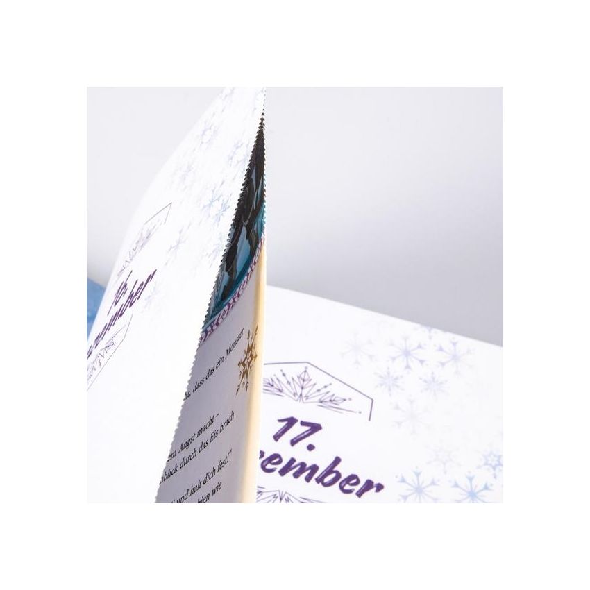 Disney - Die Eiskönigin: Mein Adventskalenderbuch