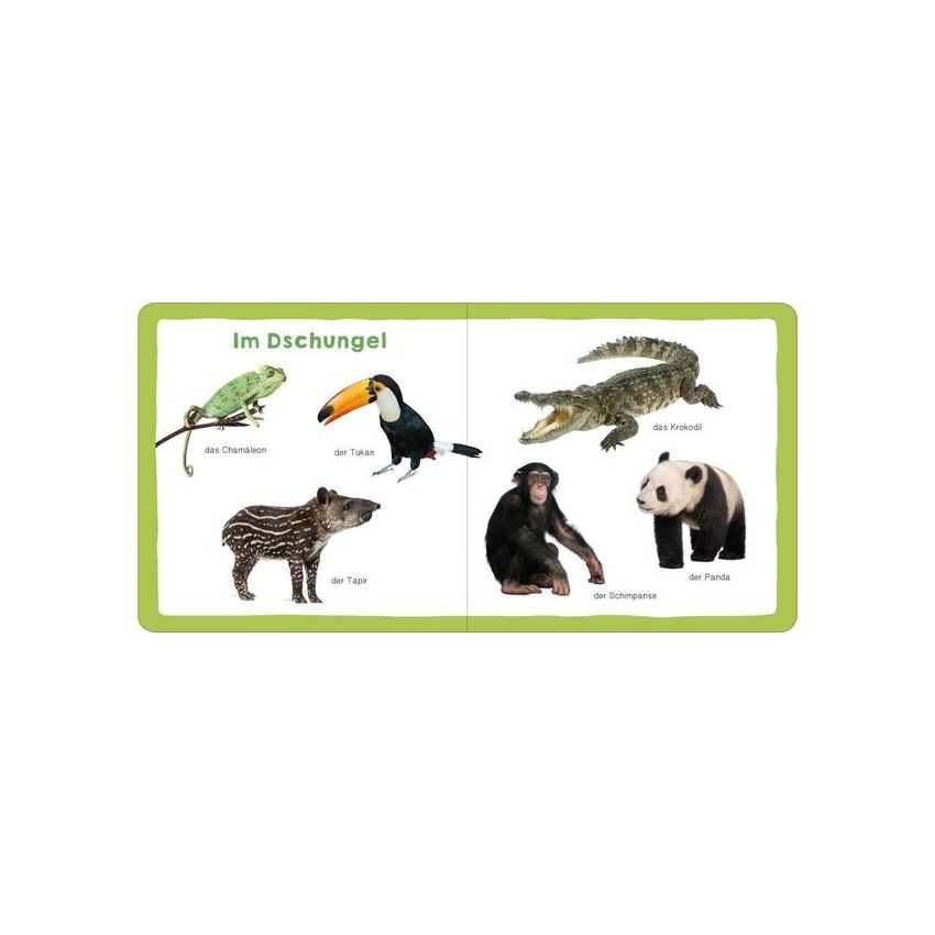 arsEdition - Meine ersten 100 Tiere