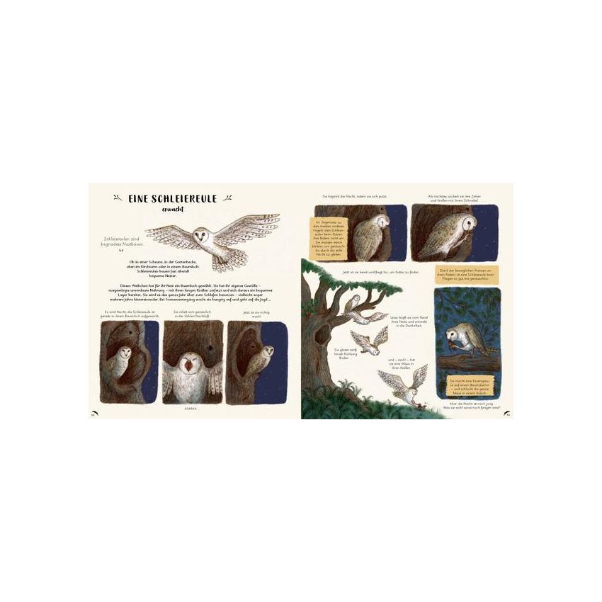 Prestel Verlag - Wunder der Natur¨- 50 wahre Wunder der Natur zum Innehalten und Staunen