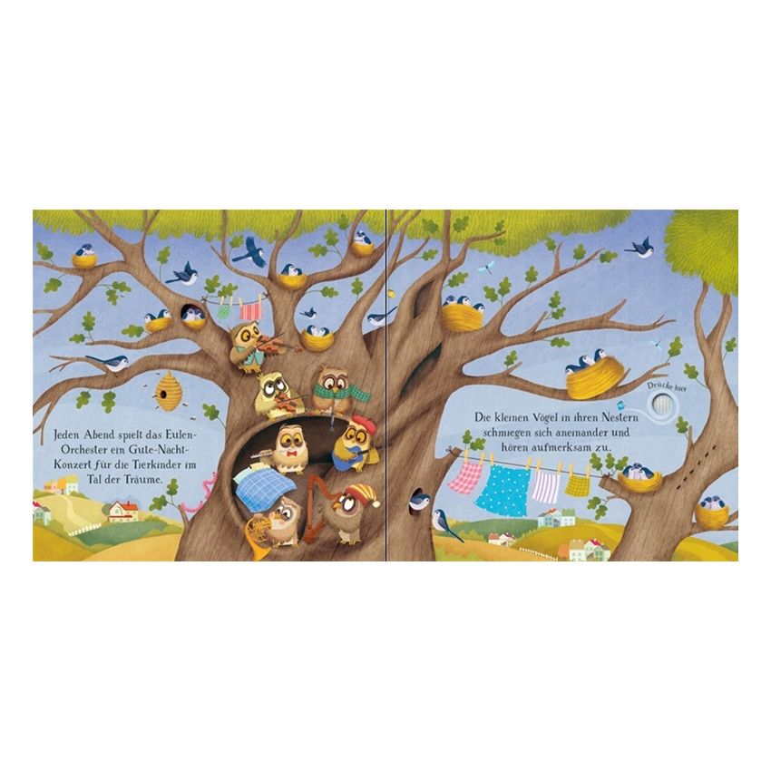 Usborne Verlag - Einschlafen mit dem Eulen-Orchester