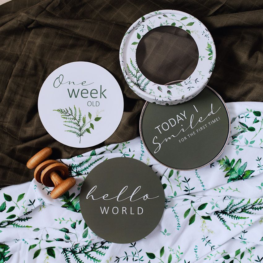 Snuggle Hunny - Meilenstein Karten Enchanted & Olive