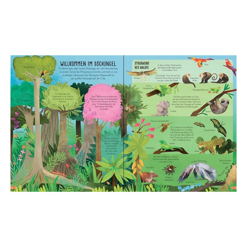 Usborne Verlag - Die Erde, unser lebendiger Planet: Entdecken, Verstehen und Bewahren