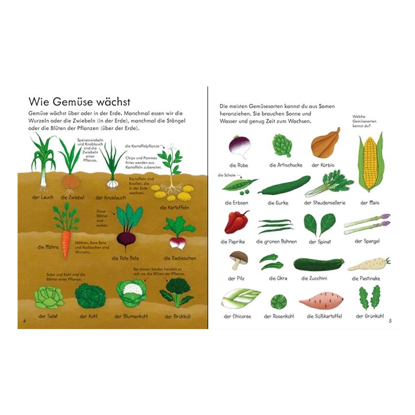 Usborne Verlag - Entdecke deine Welt: Alles über unser Essen