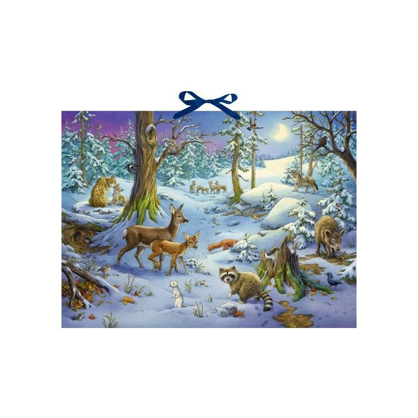 Sound-Adventskalender - Hört ihr die Tiere im Winterwald?