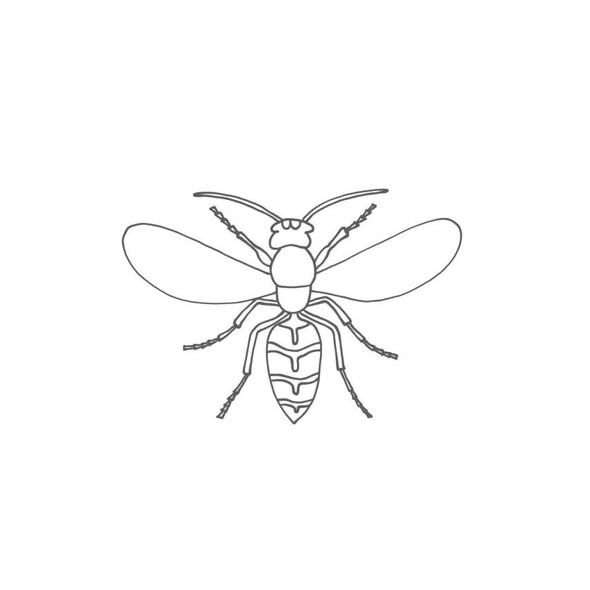 Vicky Bo Verlag - Malbuch Tiere ab 2 Jahre - Erstes Malen