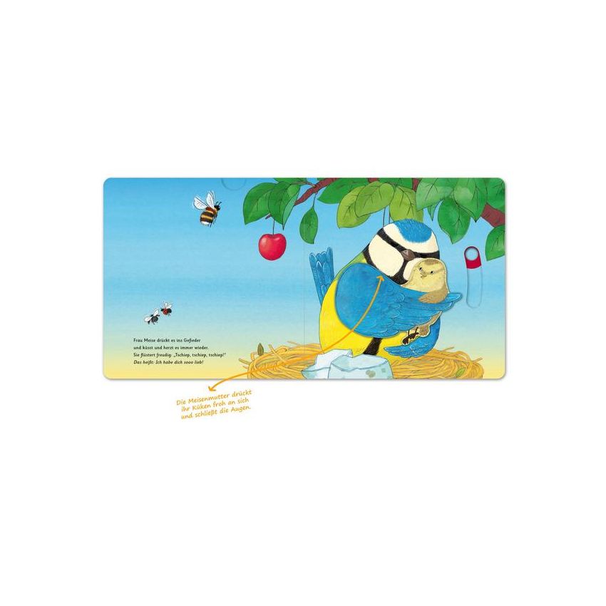 Sauerländer Verlag - Das Eiwunder - Zum Schieben, Klappen und Staunen