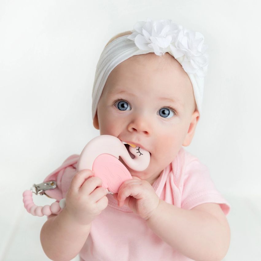 Glitter & Spice - Kaukette Flamingo