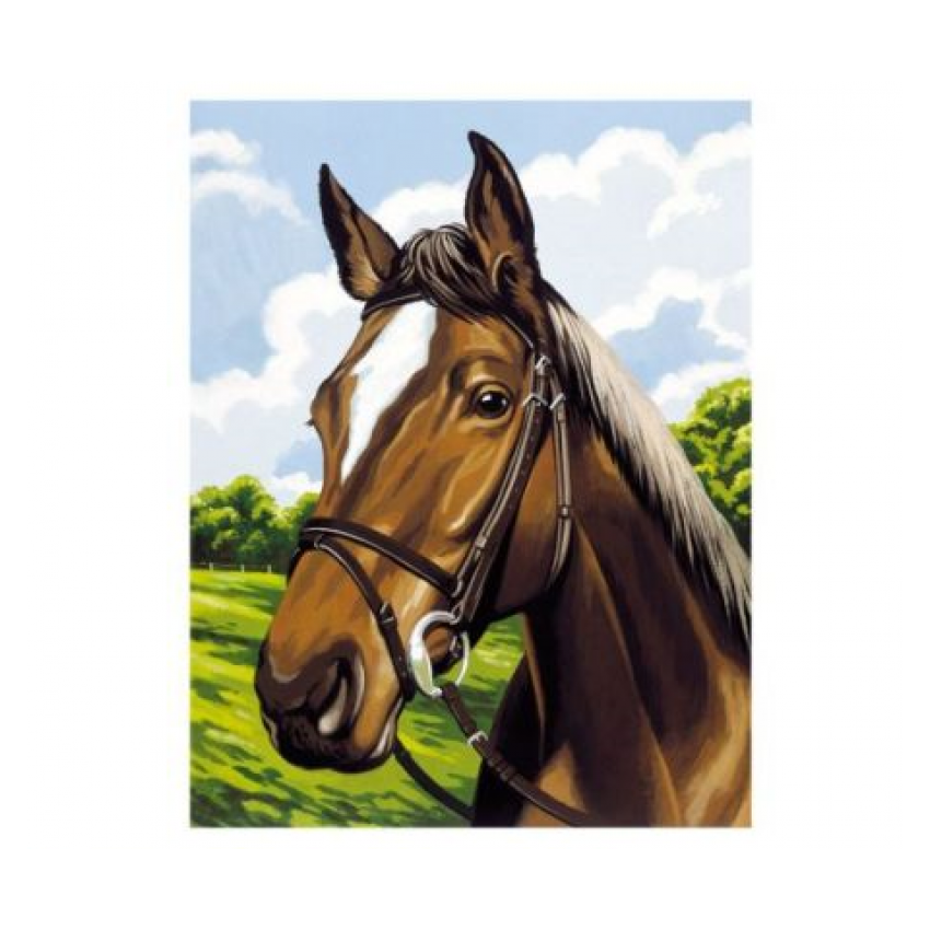 Mammut - Malen nach Zahlen, Pferdeporträt