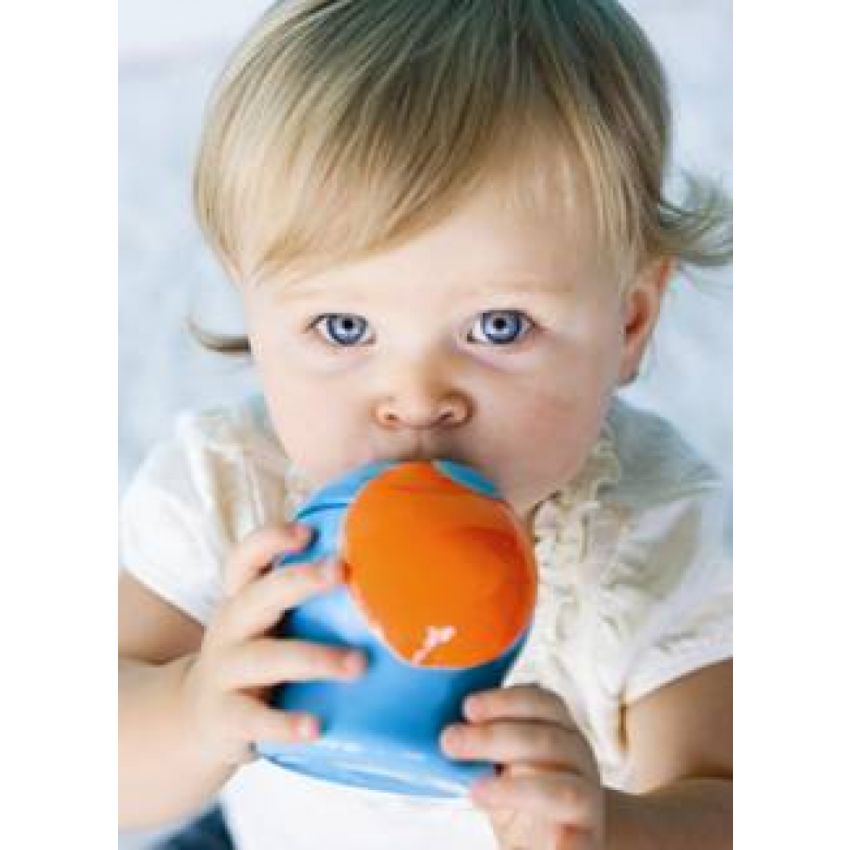 Boon - Swig Trinklernflasche lila/kiwi gross