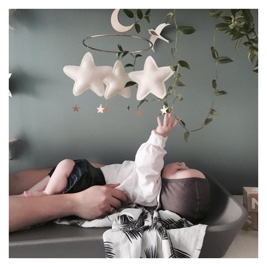 The Butter Flying - Stars and Moon Mario Puderrosa