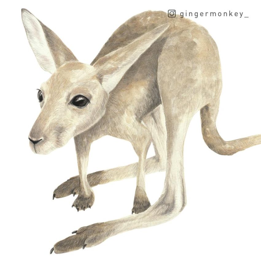 Ginger Monkey - Australische Tierbaby- Welt mit Baumwelt