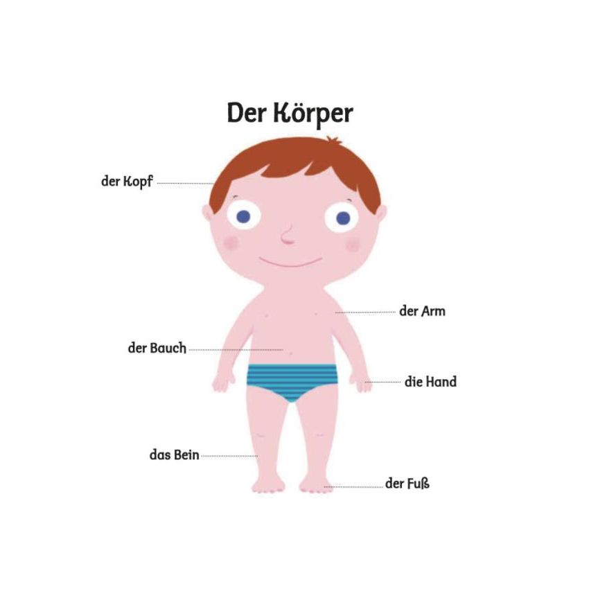 arsEdition - Mein erstes Buch vom Körper