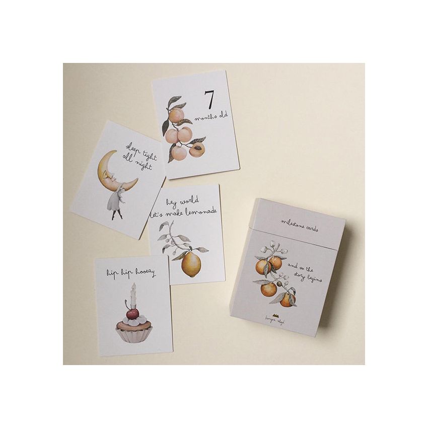 Konges Sløjd - Meilensteinkarten