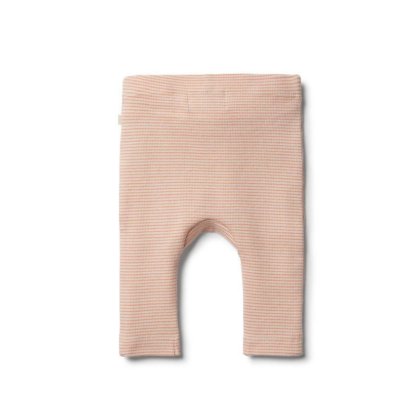 wilson & frenchy - Organic Desert Flower Legging
