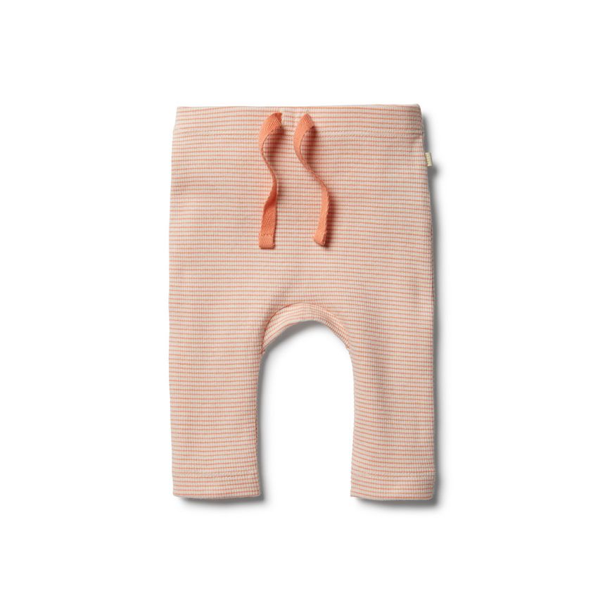 wilson & frenchy - Organic Desert Flower Legging