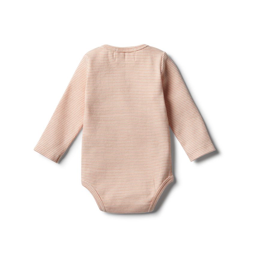 wilson & frenchy - Organic Desert Flower Body