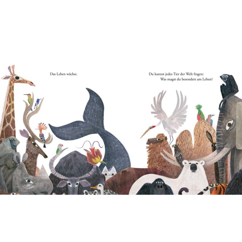 NordSüd Verlag - Leben