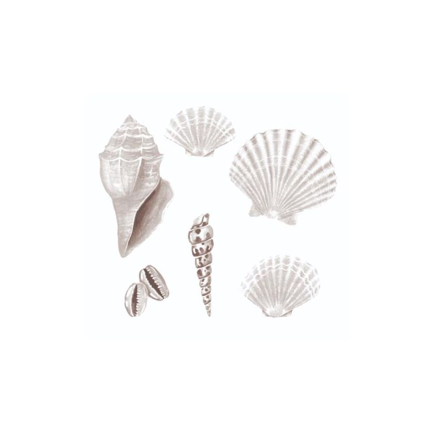 Thats mine - Wandsticker Muscheln Weiss