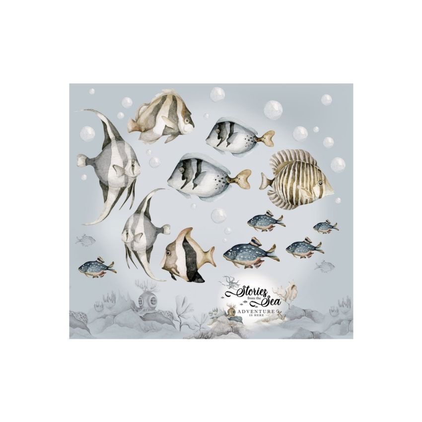 Dekornik - Fish - Stories from the Sea