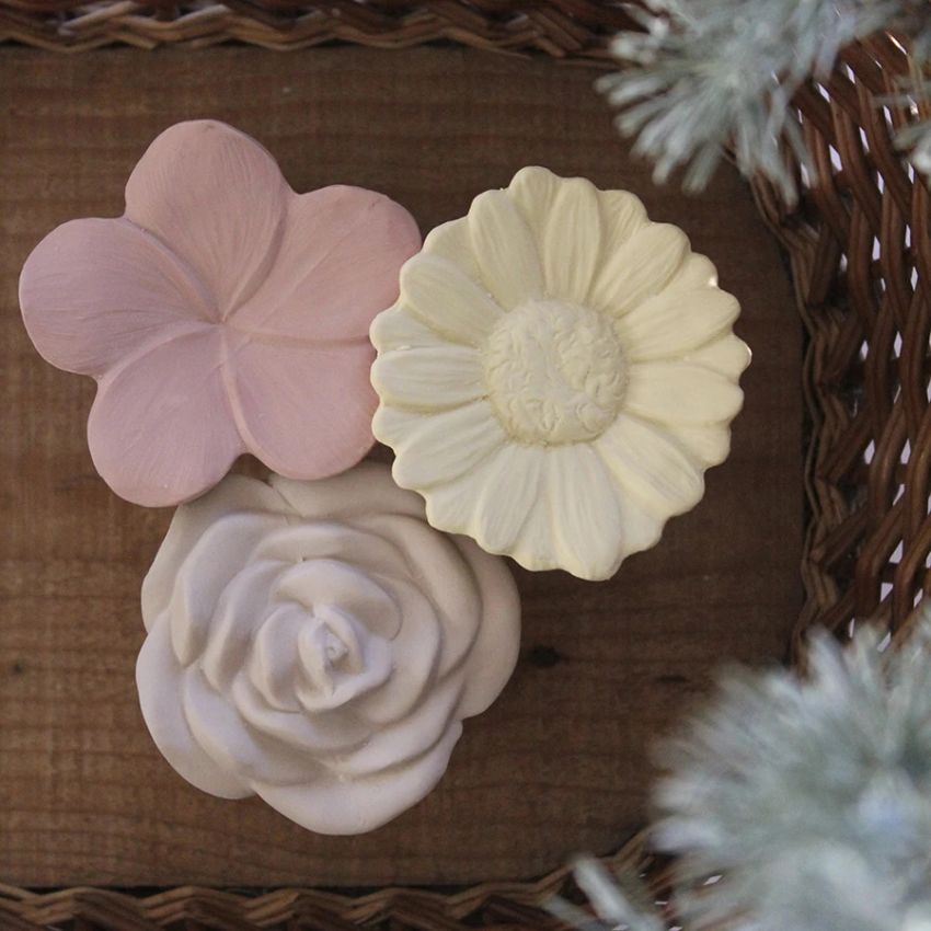 Natruba - Rassel - Beissling Plumeria Puderrosa