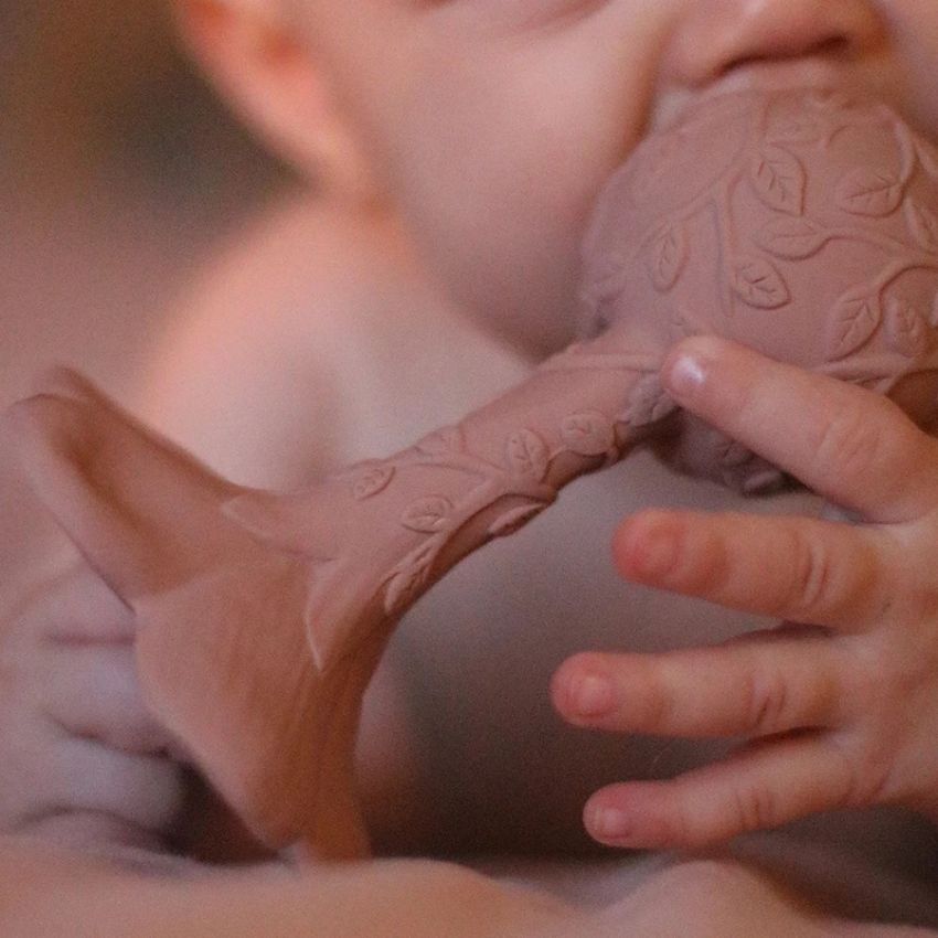 Natruba - Rassel - Beissling Plumeria Puderrosa